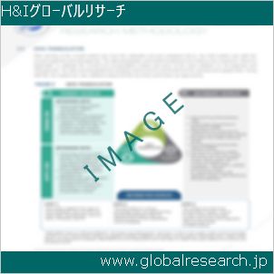 グローバルリサーチ調査レポートのイメージ